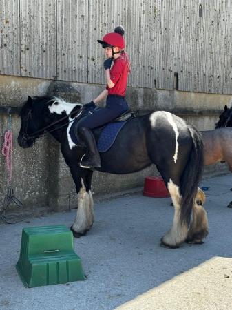 Image 3 of Wanted LOAN horse in / near melksham (wiltshire)