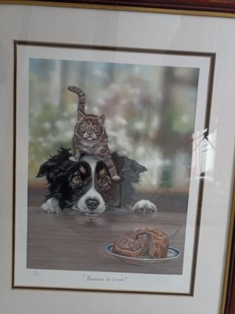 Image 2 of Limited Edition Dog/Cat Print