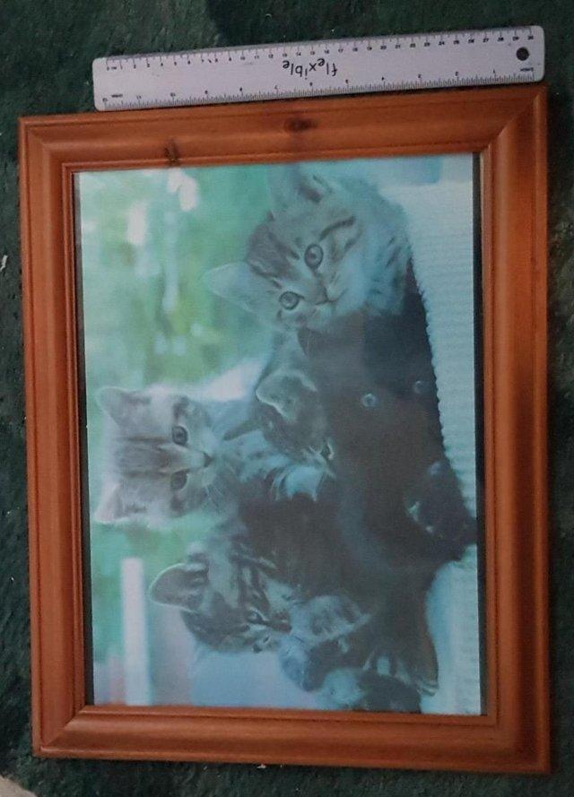Preview of the first image of Large cat picture in wooden frame - Chatham.