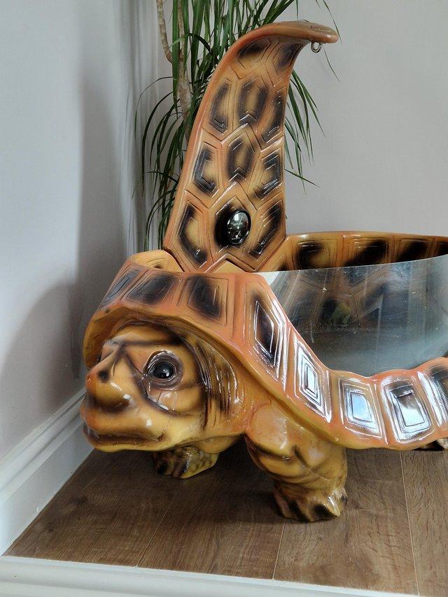 Preview of the first image of Komodo Tortoise table house.