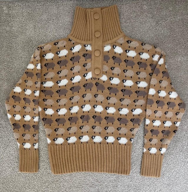 Preview of the first image of Zara Sheep sweater, UK Size M.