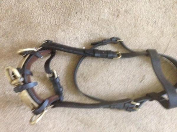 Image 3 of HORSE ITEMS. my clear out. saddle sheet rack etc.