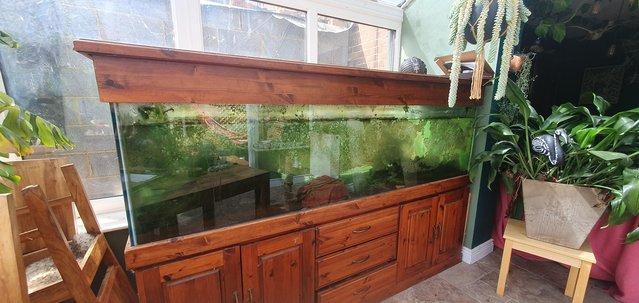 Image 4 of Large fish tank with all accessories