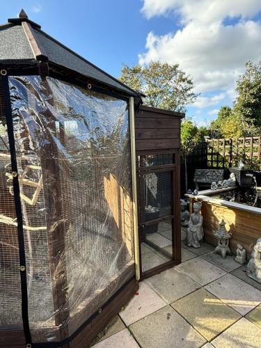 Picture of Used Wooden bird aviary 7ftx9ft tall For Sale in Norwich, Norfolk ...
