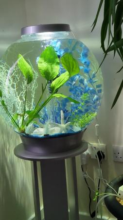 Image 2 of 60L Birob Fish tank and stand for sale