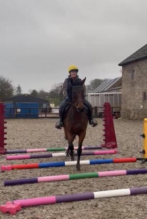 Image 4 of **SOLD **16hh tb mare rising 7yrs
