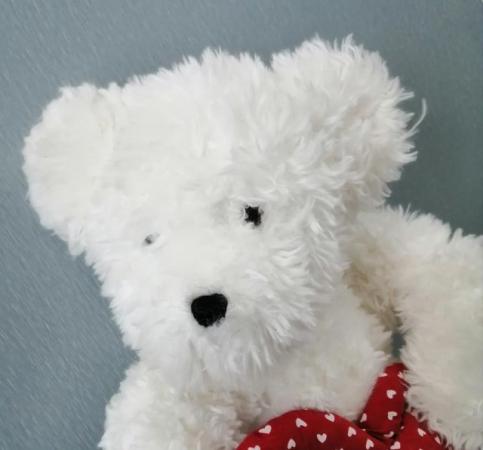Image 3 of A White Shaggy 16" Boyds Bear.