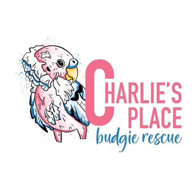 Preview of the first image of UK based registered Budgie Rescue Charity.