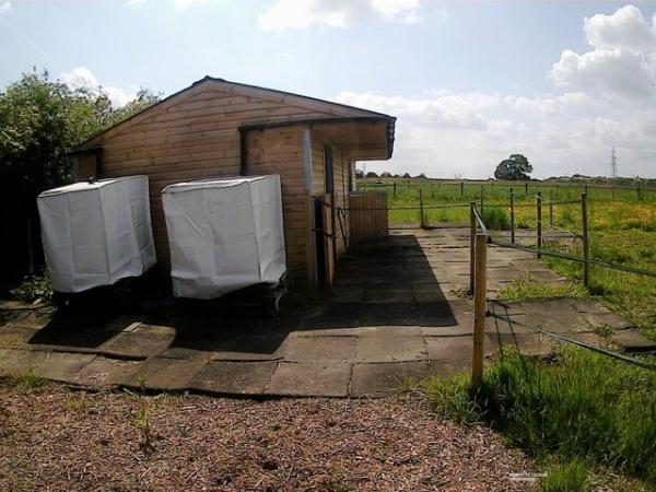 Image 11 of Stables on a Nine Acre Field available to Rent in Hawarden