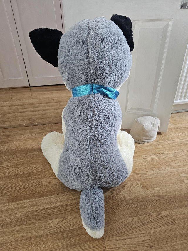 Preview of the first image of Giant husky beanie plush.