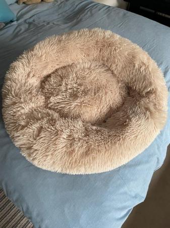 Image 4 of Small/medium dog bed for sale.