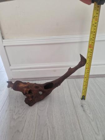 Image 3 of 3 nice pieces of Bogwood