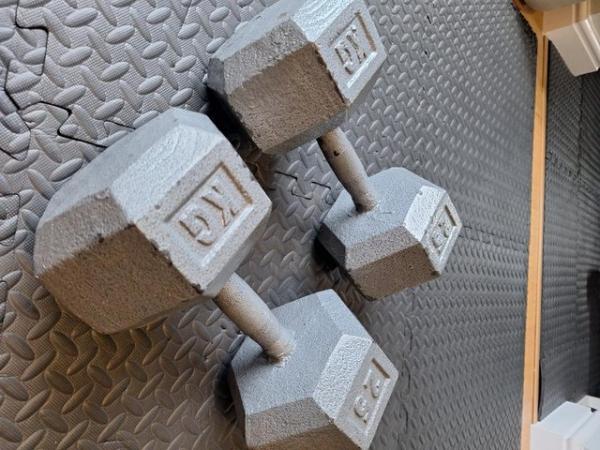 Image 2 of 25kg cast iron dumbbell pair