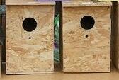 Preview of the first image of parakeet nest boxes..........................................