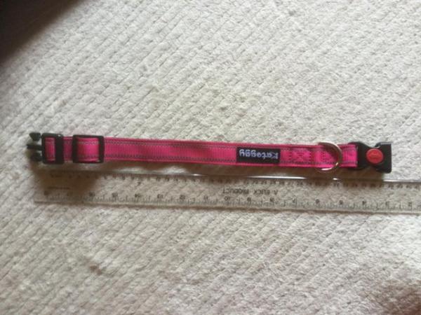 Image 3 of Pink Collar for Small/Medium Sized Dog