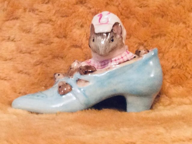 Preview of the first image of Beatrix Potter’s The Old Woman who lived in a shoe.