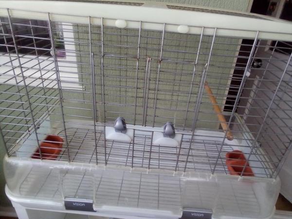 Image 1 of Large Vision bird cage for sale