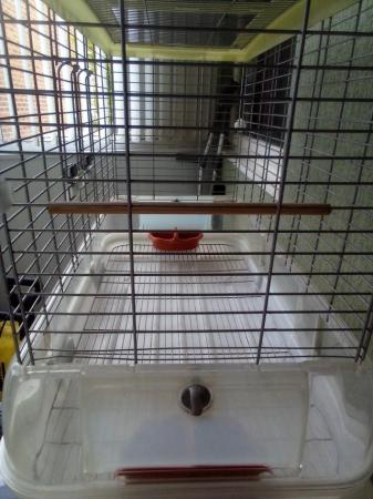 Image 6 of Large Vision bird cage for sale
