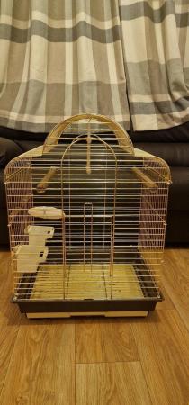 Image 3 of Cage of small bird or a bug one