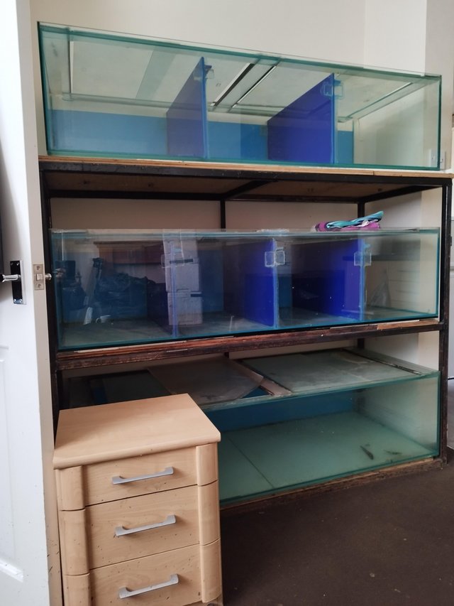 Preview of the first image of Stand and 3 x 5ft fish tanks on stand 3 tier for sale.