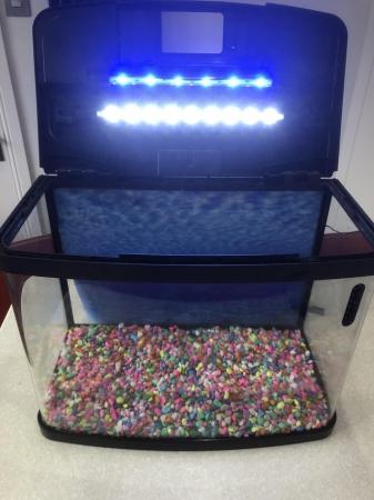 Image 3 of Heated Fish Tank and accessories for sale