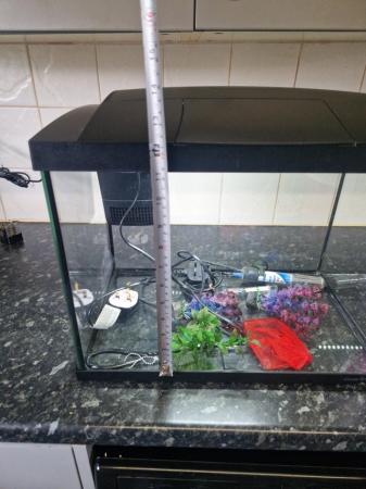 Image 2 of Tropical fish tank and all the the starter set up