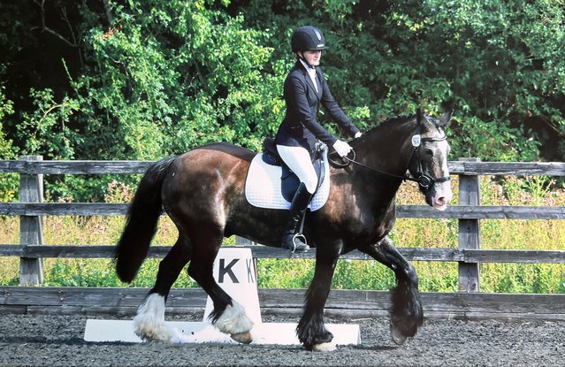 Image 2 of Wanted :A new adult rider and friend for my lovely cob