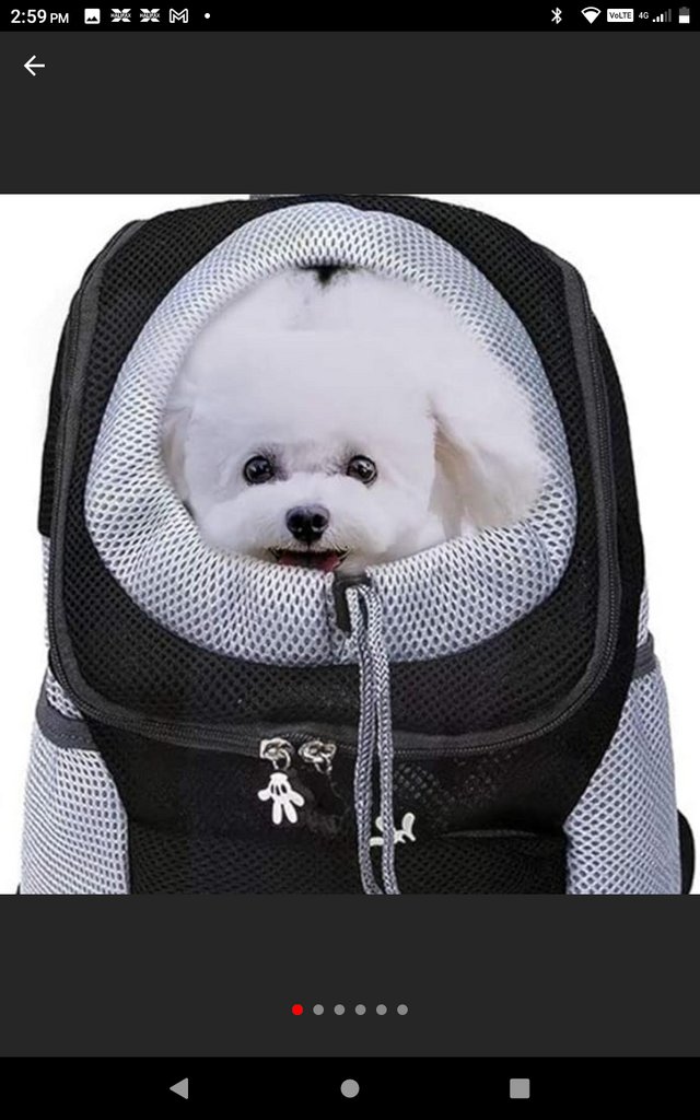 Preview of the first image of hands-Free Pet Travel Bag, Breathable Head-Out Design and Wa.