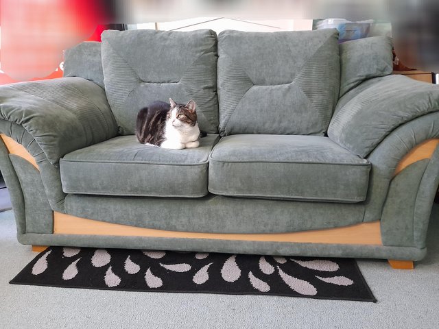 Preview of the first image of Sage green 2 seater sofa need gone ASAP!.