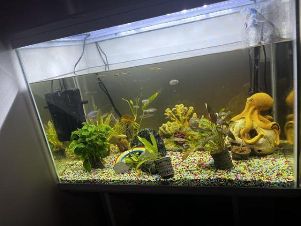 Image 1 of 150 litre fish tank WILL TAKE ANY OFFER