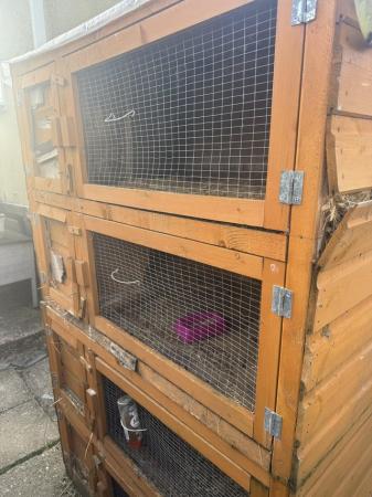 Image 4 of Rabbit/ guinea pig cages