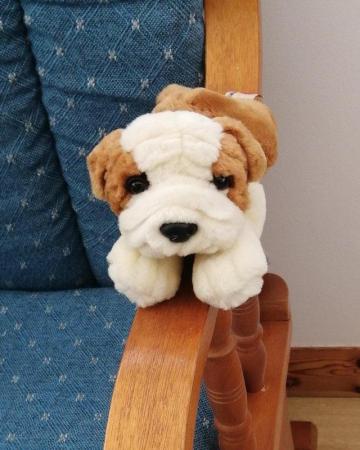 Image 16 of Keel Simply Soft Collection Puppy Dog Soft Toy.  Length 8".