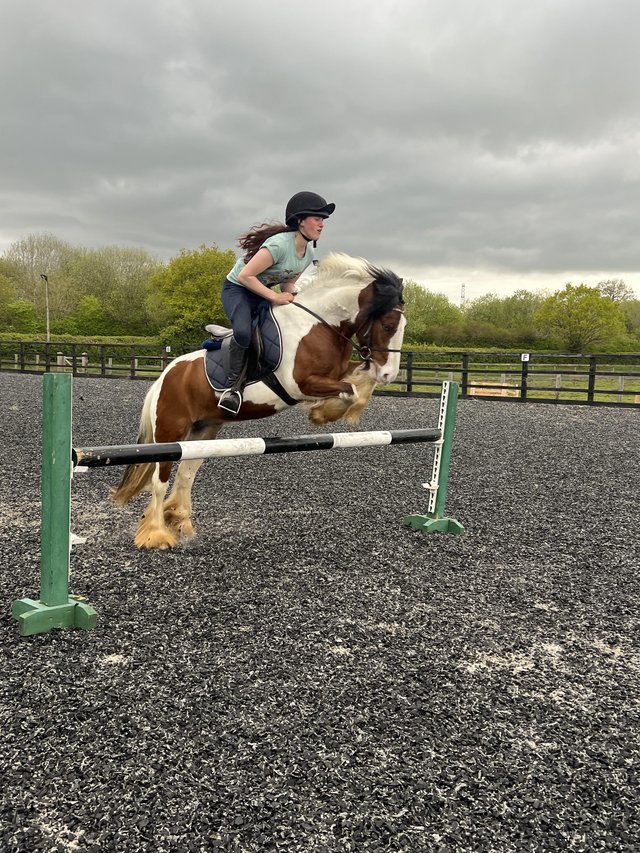 Preview of the first image of Cob x gelding pony for hacking and jumping.