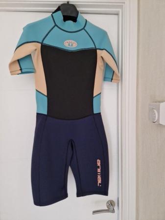 Image 1 of Animal Branded Women' Shorty Wetsuit, Size 8-10