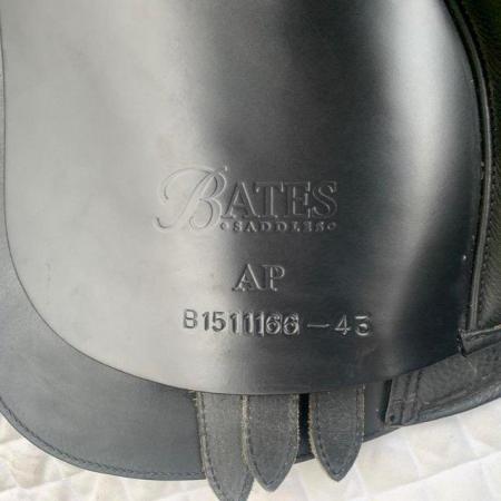 Image 9 of Bates Wide All Purpose 17 inch saddle