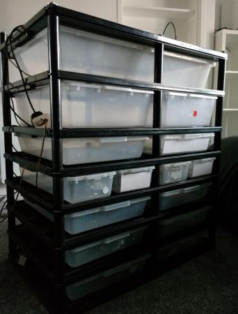 Image 1 of Snake rack for sale various tub sizes