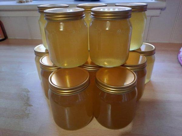 Image 2 of Local Honey from Salisbury Plain