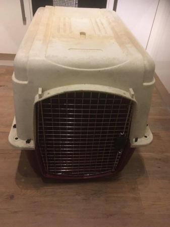 Image 6 of Very large dog crate/carrier Petmate