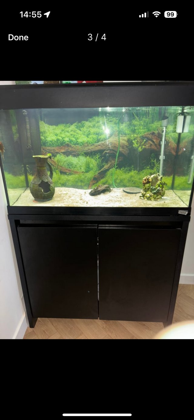 Preview of the first image of fluval 125 roma aquarium and cabinet.