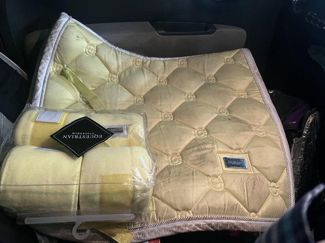 Preview of the first image of Equestrian stockholm soft lemon dressage pad and bandages.