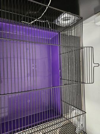 Image 1 of 2 small mouse/dwarf hamster cages with 10kg bedding