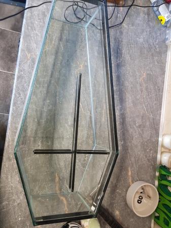 Image 1 of Glass coffin terrarium for sale