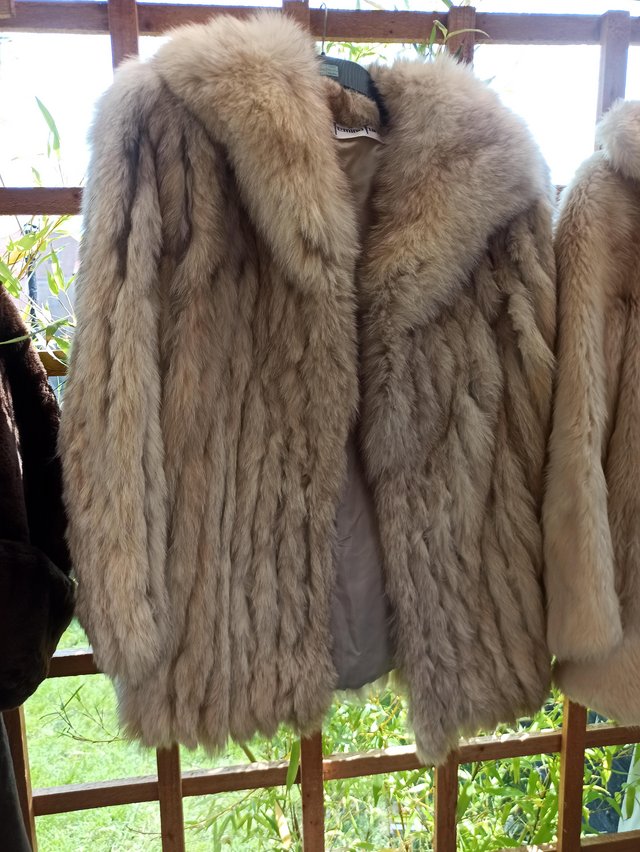 Preview of the first image of Faux fox fur short coat 1960s/1970s.