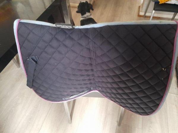 Image 1 of Cob size saddle pads for sale