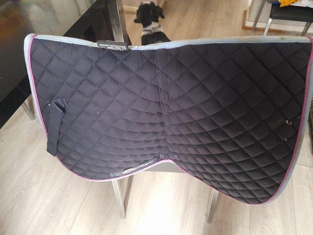 Preview of the first image of Cob size saddle pads for sale.