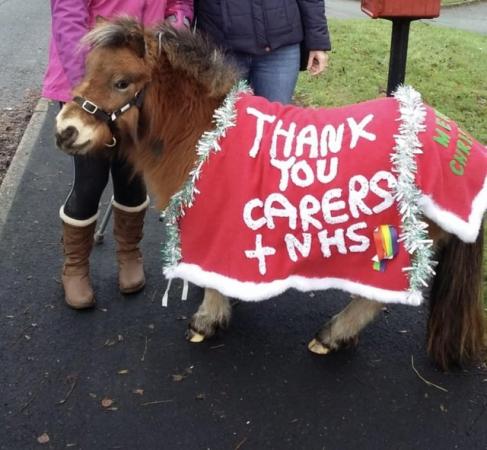 Image 1 of Shetland Pony Party/Events