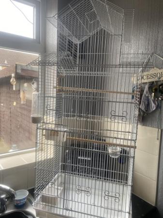 Image 3 of Bird cage for sale!!!!!!!!!!!!!