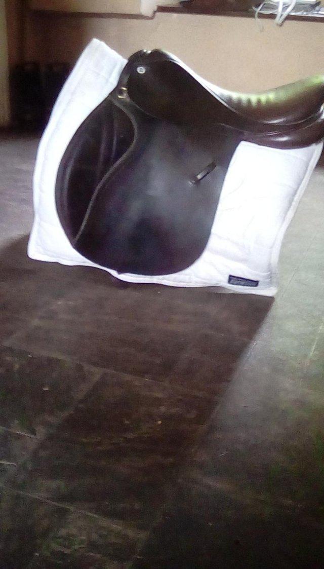 Preview of the first image of 17" Barnsby GP saddle. Med-Wide.