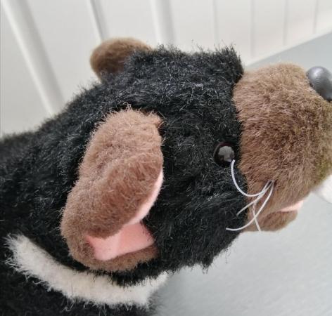 Image 10 of A Small "Tasmanian Devil" Soft Toy by Windmill Toys, Austral