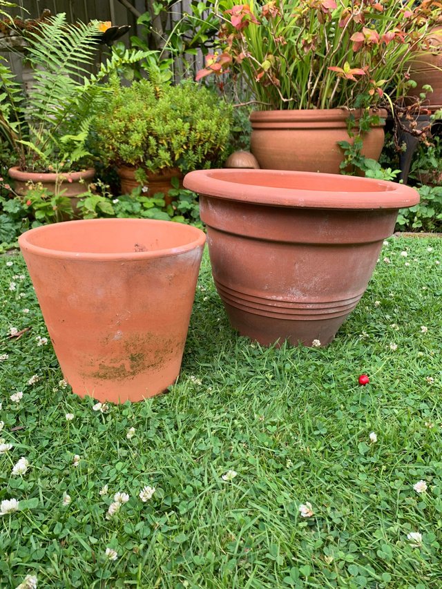 Preview of the first image of 2 terracotta plant pots.